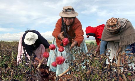 Thu nhập của người dân Bolivia được cải thiện ảnh 1